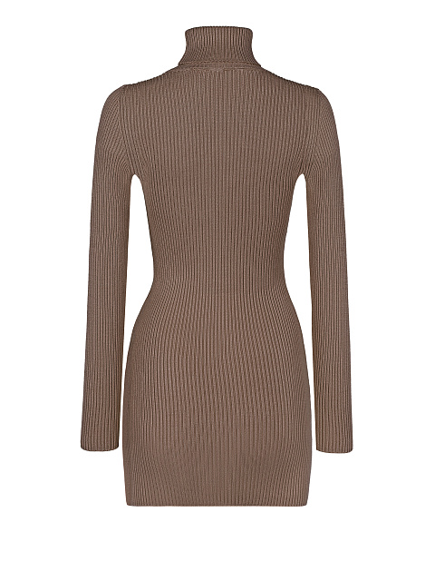Brown Rib Knit Turtleneck Mini Dress, 2 Brown Rib Knit Turtleneck Mini Dress, 2