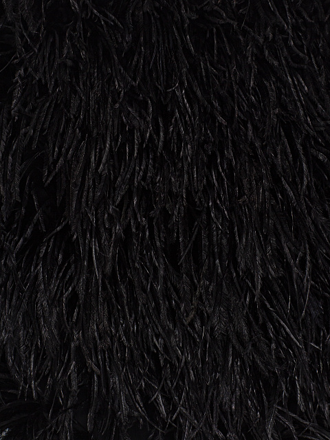 Black bodysuit with feathers, 3