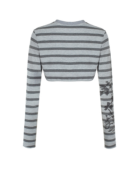 Grey Striped Cropped Longsleeve T-shirt, 2