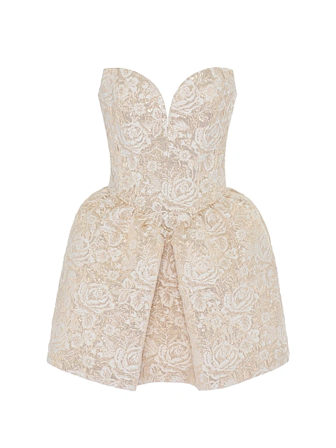 Beige & Gold Roses Brocade Mini Dress, 1