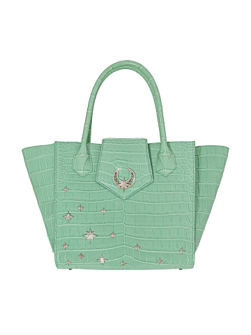 Mint Crocodile Leather Silver Crescent & Stars Bag, 1