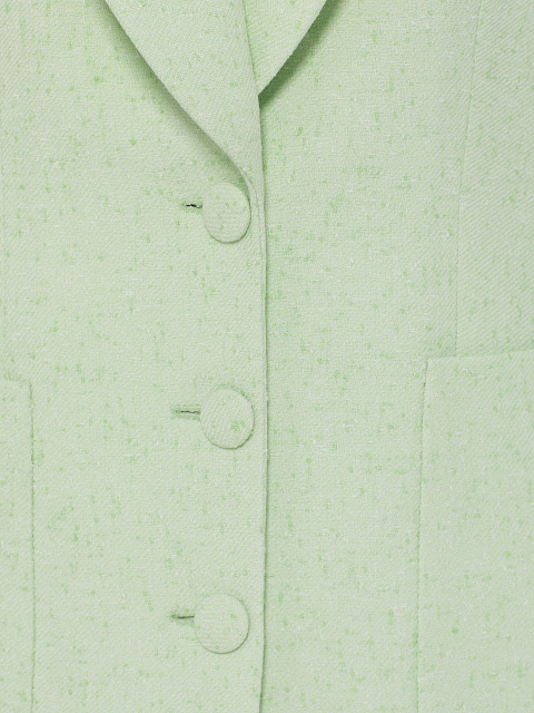 Light Green Two-piece Suit With Jacket And Mini Skirt, 3