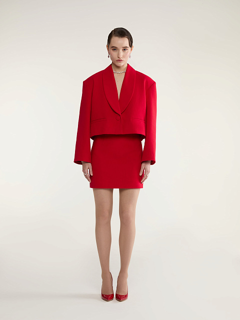Red Two-piece Suit With Jacket And Mini Skirt, 3