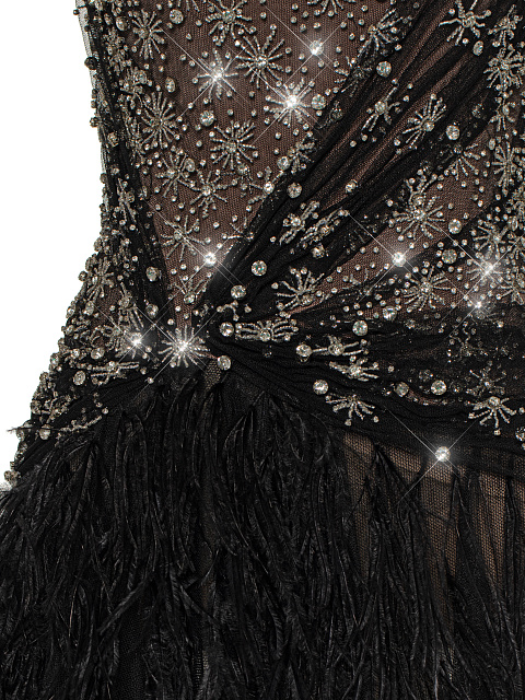 Black Feather & Rhinestone Maxi Dress, 4