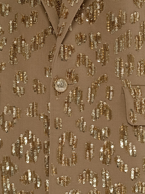 Brown Sequins Pant Suit, 6