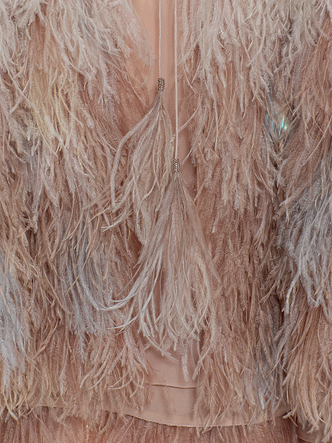 Chiffon cape with feathers, 3 Chiffon cape with feathers, 3