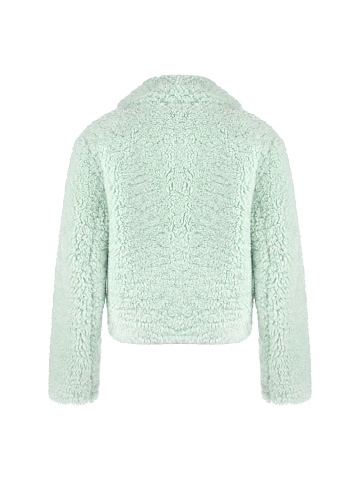 Mint Cropped Faux Fur Coat, 2