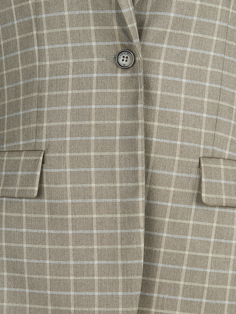 Light Grey Checked Pantsuit, 4 Light Grey Checked Pantsuit, 4