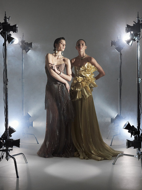 Brown Plisse Organza Maxi Dress, 11