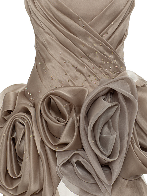 Beige Organza Maxi Dress, 4