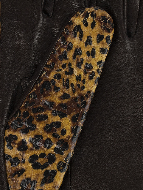 Leopard-Print Lambskin Gloves, 3