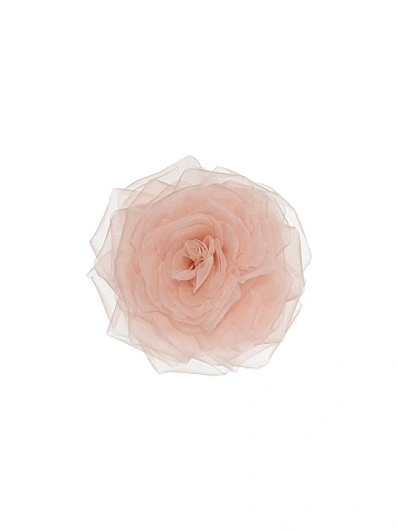 Light Pink Organza Rose Brooch, 1