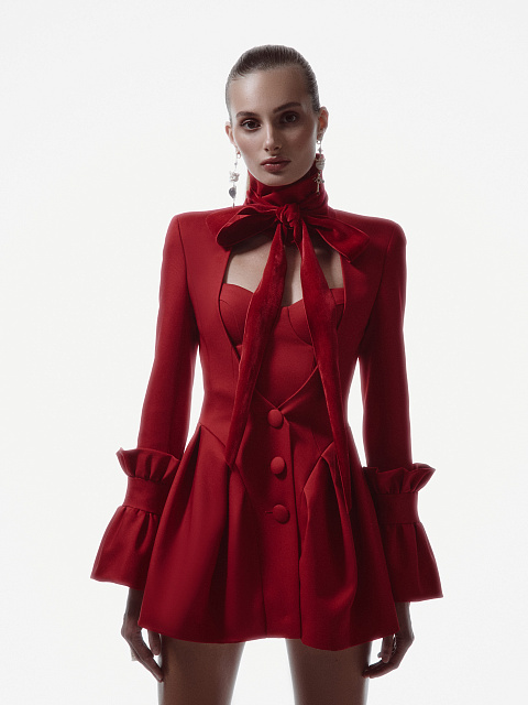 Red Blazer Mini Dress & Top Set, 4