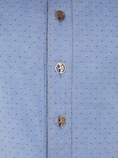 Light Blue Cotton Shirt, 3 Light Blue Cotton Shirt, 3