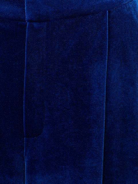 Blue Velvet Pant Suit, 5