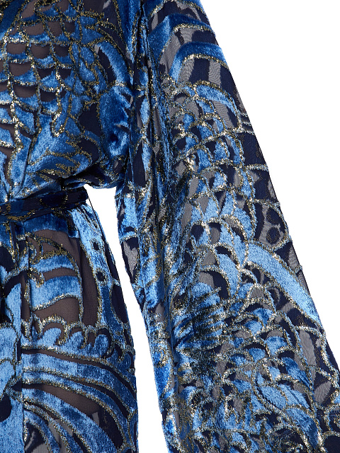 Blue & Gold Velvet Robe, 3
