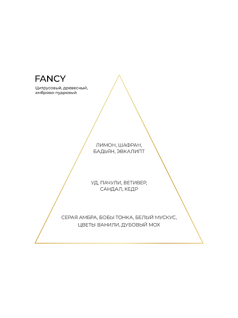 Fragrance FANCY 100 ml, 2 Fragrance FANCY 100 ml, 2