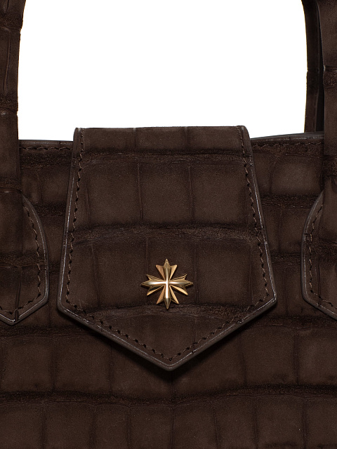 Brown Crocodile Leather Bag With Silver, 7