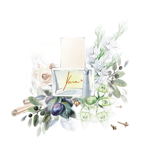 Fragrance VIVID 100 ml, 4 Fragrance VIVID 100 ml, 4