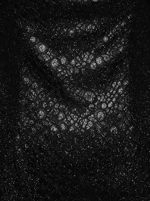 Metallic Black Snakeskin Mini Dress, 3