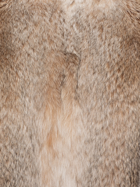Khaki vest with lynx fur, 4