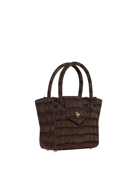 Brown Crocodile Leather Bag With Silver, 4