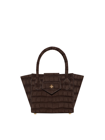 Brown Crocodile Leather Bag With Silver, 1