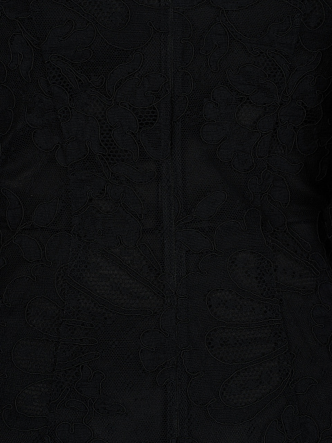Black Lace Mini Dress, 3
