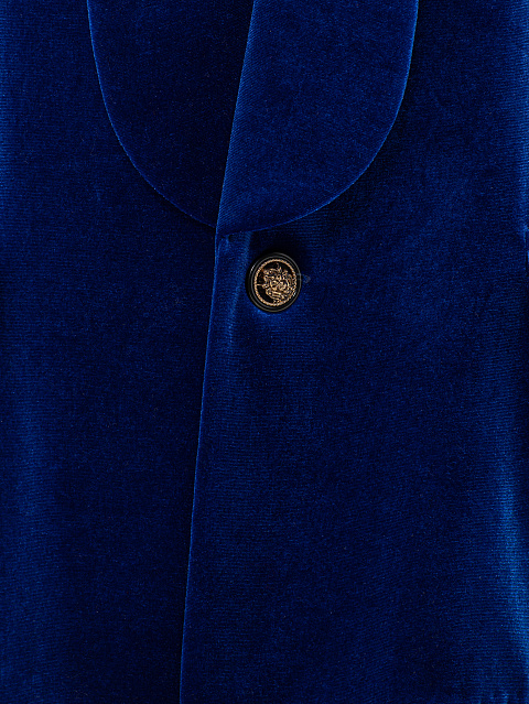 Blue Velvet Pant Suit, 4
