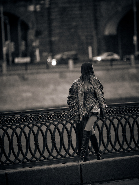 Leopard Print Taffeta Bomber Jacket, 7