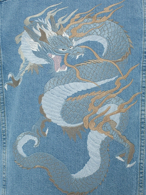 Light Blue Embroidered Denim Jacket, 5