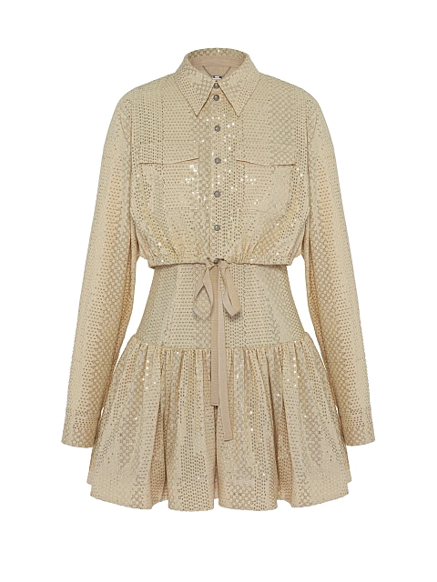 Golden Sequin Shirt & Mini Dress Set, 4