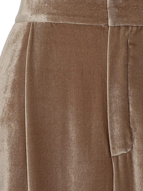 Beige Velvet Pant Suit, 5
