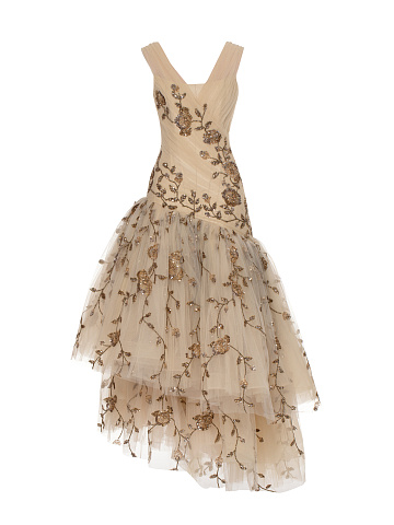 Beige Asymmetric Embroidered Mesh Maxi Dress, 1