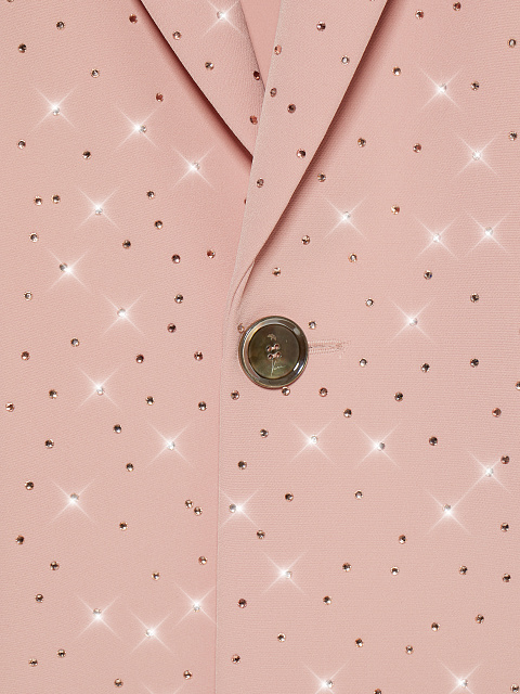 Pink Rhinestone Skirt Suit, 9