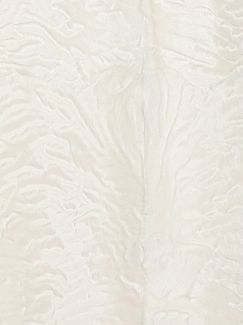White Cashmere & Swakara Jacket, 6