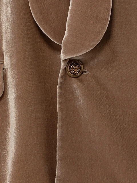 Beige Velvet Pant Suit, 4